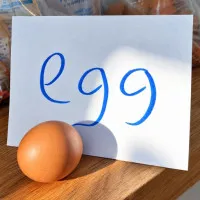 Egg